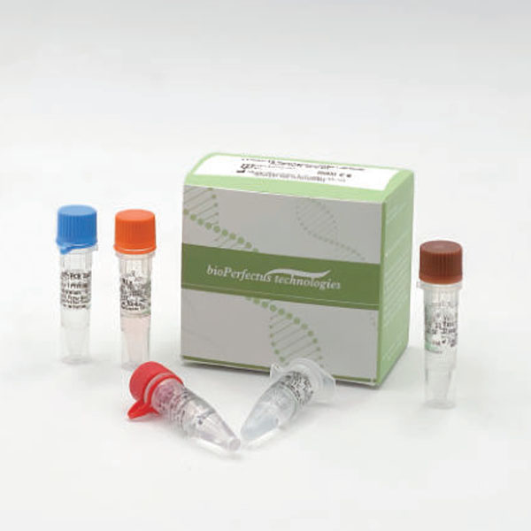 COVID-19 Coronavirus (ORF1ab/N/E) Real Time PCR Kit