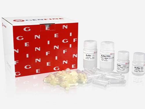 Virus DNA/RNA Kit (Column)