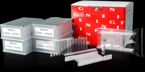 Magnetic Beads DNA/RNA Extraction Kit (FineMag Blood Spot Genomic DNA Kit)