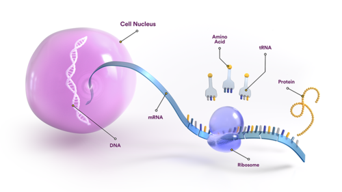 FineProtect Universal RNA Kit