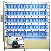 5 Shelf single-sided Zebra Fish System