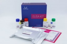 ELISA Kit