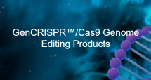 GenCRISPR™ Cas9 Genome Editing Products