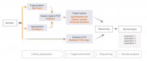 Next Generation Sequencing (NGS) Total Solutions Kits