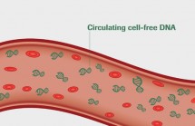 FineMag Plasma Circulating DNA Maxi Kit