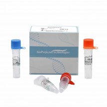 Monkeypox Virus Real Time PCR Kit
