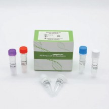 SARS-CoV-2 Variant B.1.617 Real Time PCR Kit (RUO)