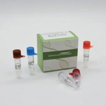 SARS-CoV-2 Variant Lambda (C.37) Real Time PCR Kit (RUO)